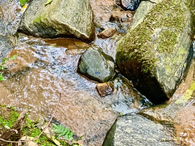 Terreno a venda em Contenda no Paraná de 100.170m2