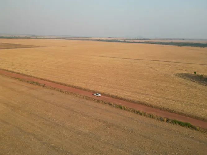 R$260 Milhões Fazenda de 7.800 ha á venda no estado do Mato Grosso