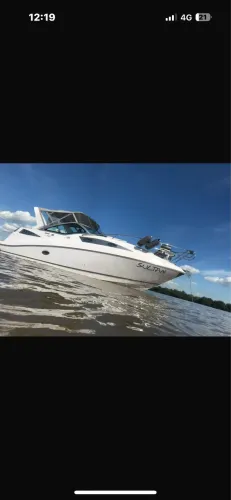 Rara Focker 280/305 GT 2010/2011