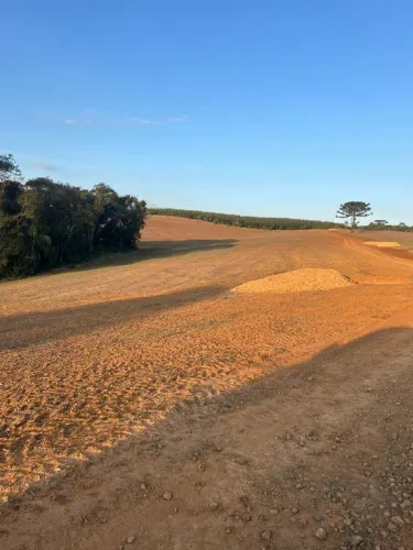 fazenda tem 54 planta 43