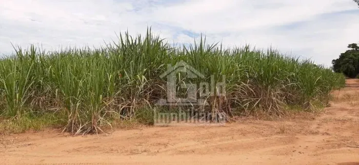 Sítio à venda, 30 alqueires por R$ 3.800.000 na região de Cravinhos/SP