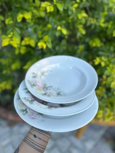 jogo de prato de porcelana schmidt. continuaçao ao lado..