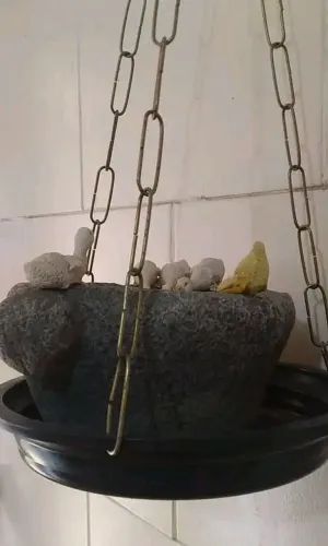 Bebedouro e alimentador de passarinho 