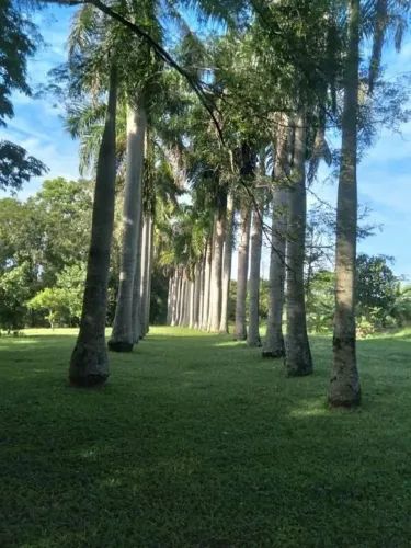 Sítio à venda, 3 quartos, 7 vagas, Área Rural de Limeira - Limeira/SP