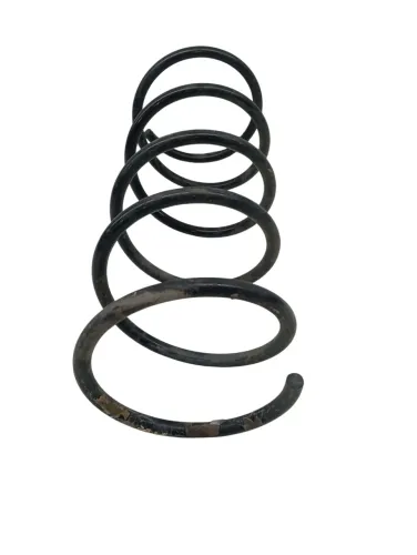 Par Molas Dianteira Esquerda Peugeot 206 1.4 2004 2005