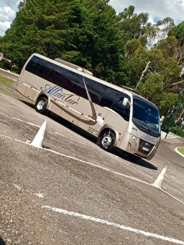 Volare WL Limousine