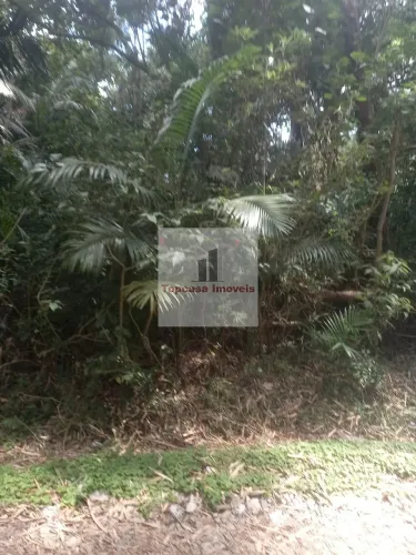 Lote / Terreno em Jardim das Palmeiras (Zona Sul) - São Paulo