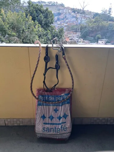 Manta e freio de cavalo