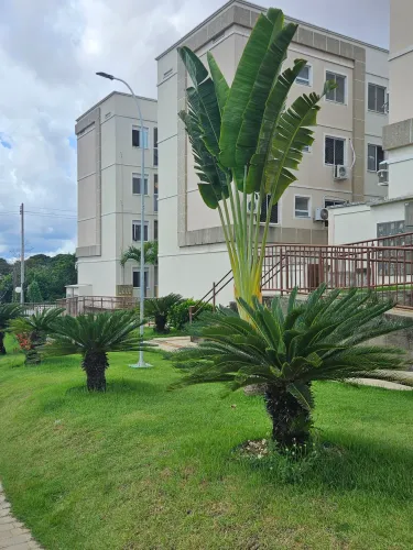 Oportunidade! Vendo Apartamento no Terrazo Poti.