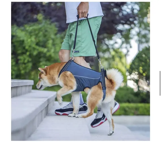 Arnês suporte para mobilidade de cães
