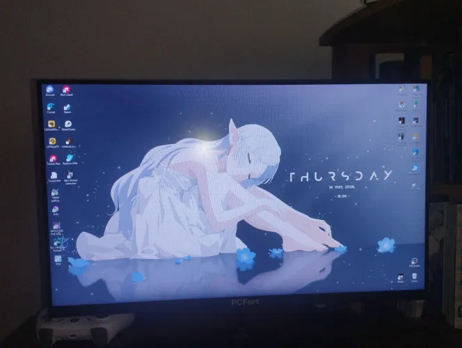 Monitor PCFort 165Hz