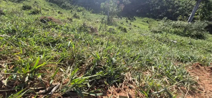 Garanta Seu Terreno Antes do Fim da Promoção