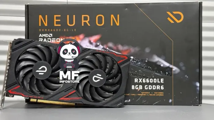 Placa de Vídeo RX6600 LE 8GB Duex