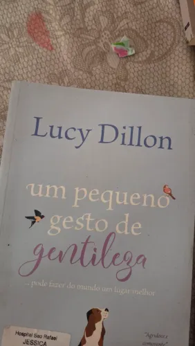 Livro Um Pequeno Gesto de Gentileza - Lucy Dillon