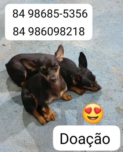 Doação por motivo de viagem