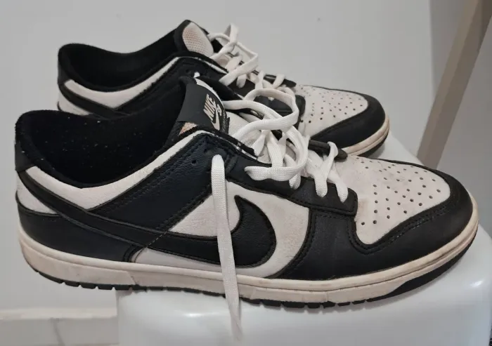 Tênis Nike SB Dunk Low Pro - Tamanho 42