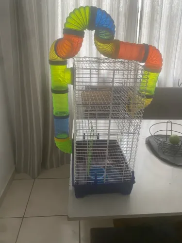 Gaiola hamster