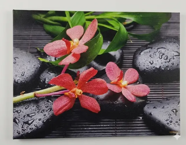 Quadro Em Canvas Desenho Tema Flores e Pedras 40cm X 30cm