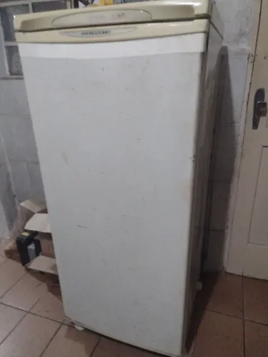 Freezer vertical