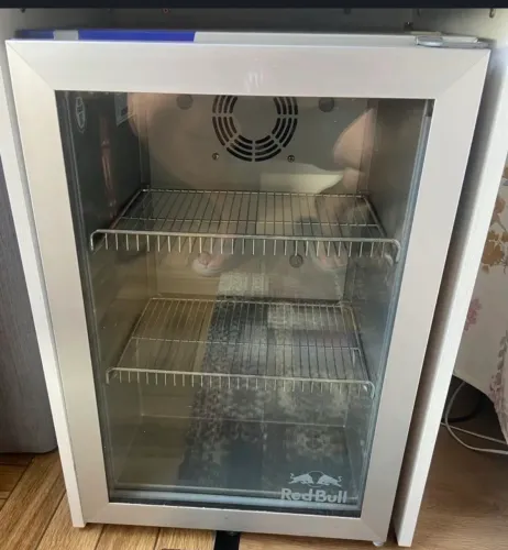 Frigobar redbull