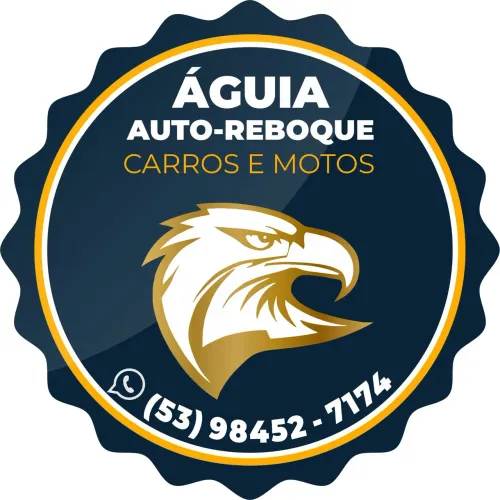 Auto reboque asa delta para deslocamentos toda regiaõ