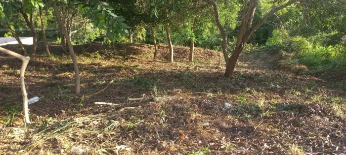 Vendo lote buritis III