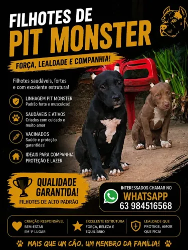 Filhotes de Pit monster