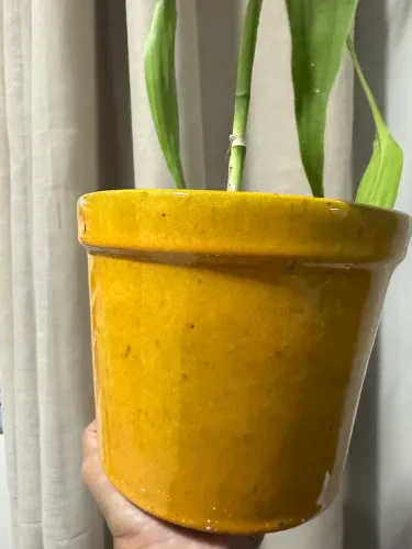 Cachepô amarelo