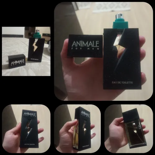 Perfumes disponíveis