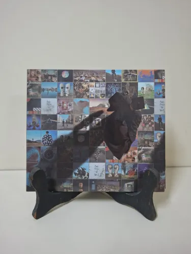 Cd pink floyd a foot in the door