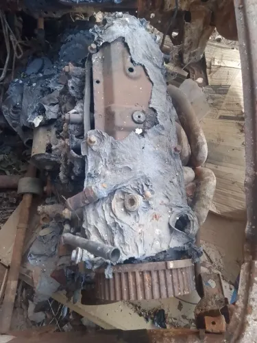 Motor Palio actrative 