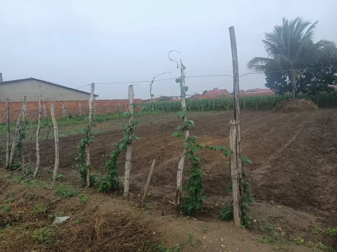 Terrenos para vender na Colônia 13