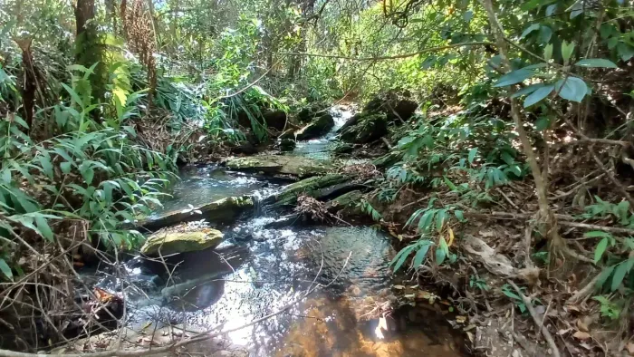 chacara a 100 km de Goiania com corrego no fundo 3000m apenas 49.900 R$