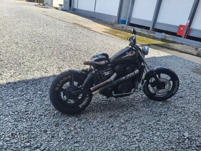 Shadow 1100 bobber