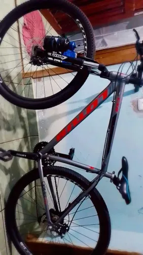 Bicicleta Lotus cinza