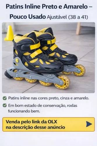 PATINS