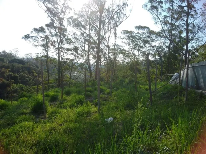 Terreno em Jardim São Rafael - São Paulo