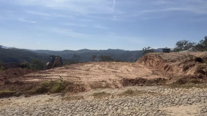 Lote plano ipe amarelo