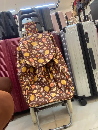Carrinho de Feira e Compras Dobrável com Bolsa Estampada Impermeável