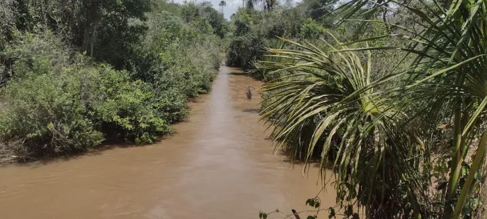 FAZENDA À VENDA - FAZENDA TAPERA - APARECIDA DO TABOADO/MS