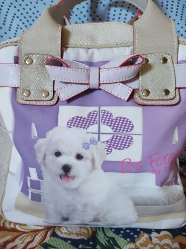 Bolsa Feminina