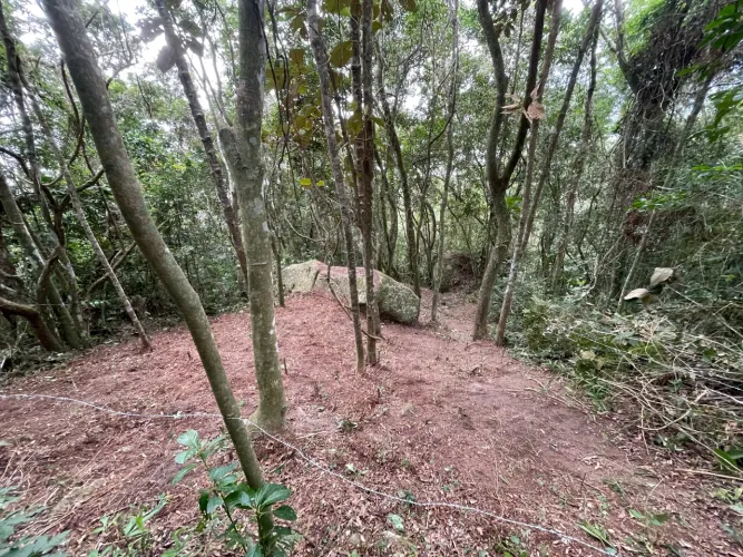 Terreno lagoa da Conceição 