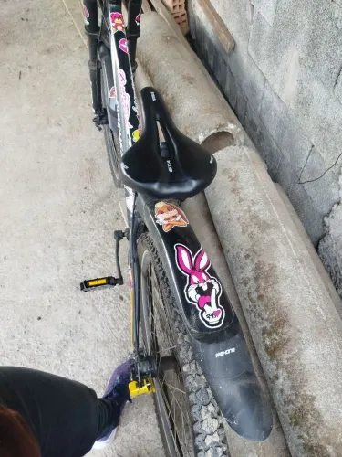 Bicicleta