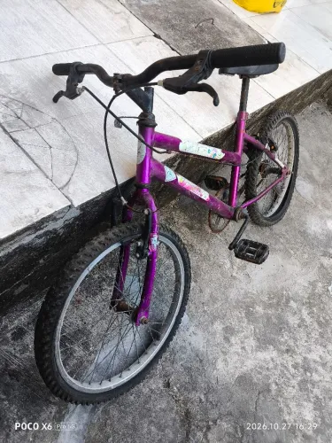 Bicicleta