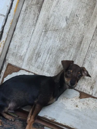 Doação