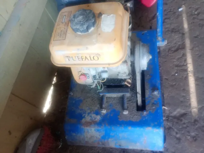 Placa vibratória 
