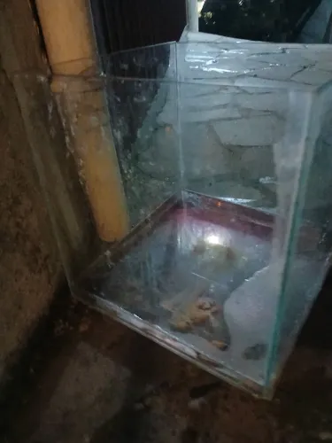 Aquário