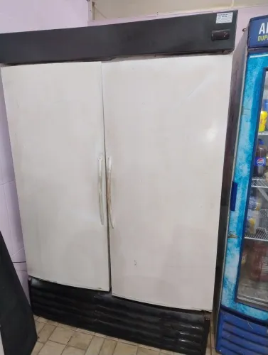 Freezer vertical