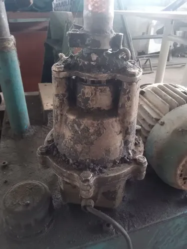 Bomba sapo