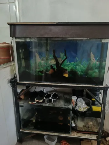 Vendo